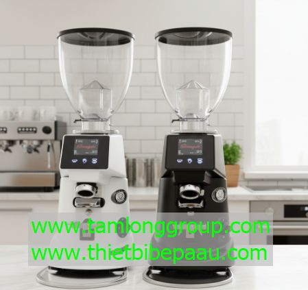 Máy xay cà phê Fiorenzato F64E Version 2