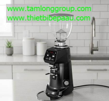 Thanh Lý Máy Xay Cà Phê Fiorenzato